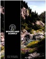 Woodland W020220G Woodlands Scenics Katalog 2022 