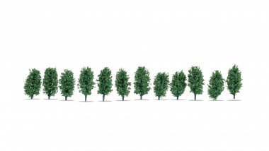 Noch 21547 Thuja-Hecke 