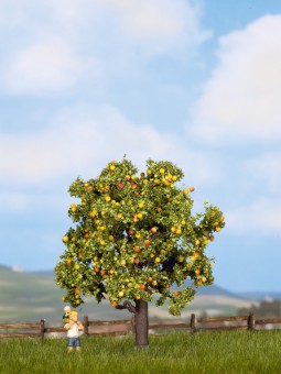 Noch 21560 Apfelbaum mit Früchten 