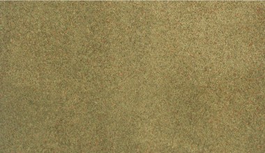 Woodland WRG5124 Grassmatte Frühling, 50 x 100 