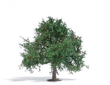 Busch 3652 Apfelbaum 75, Sommer 