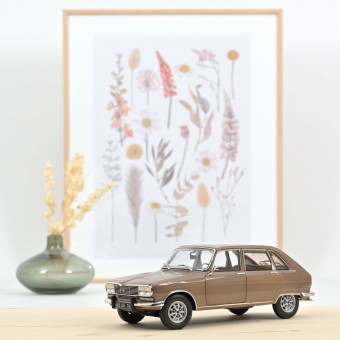 Norev 185364 Renault R16 TX beige-met. (1974) 