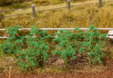 Faller 181259 Tomatenplanzen, 18 St. 